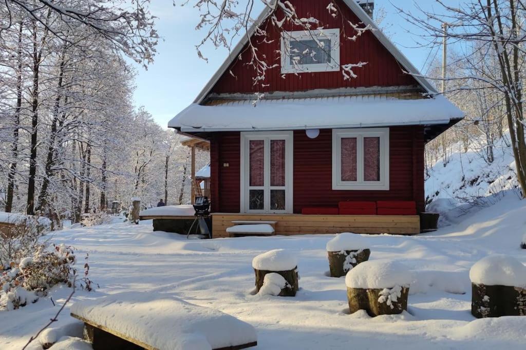 Chatky U Potoka Chatka N3 Olesnice v Orlickych horach Экстерьер фото